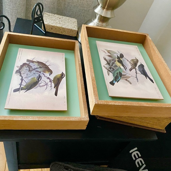 Vintage Style Framed Bird Art Illustrations Set, 2 Piece - Picture 7 of 12